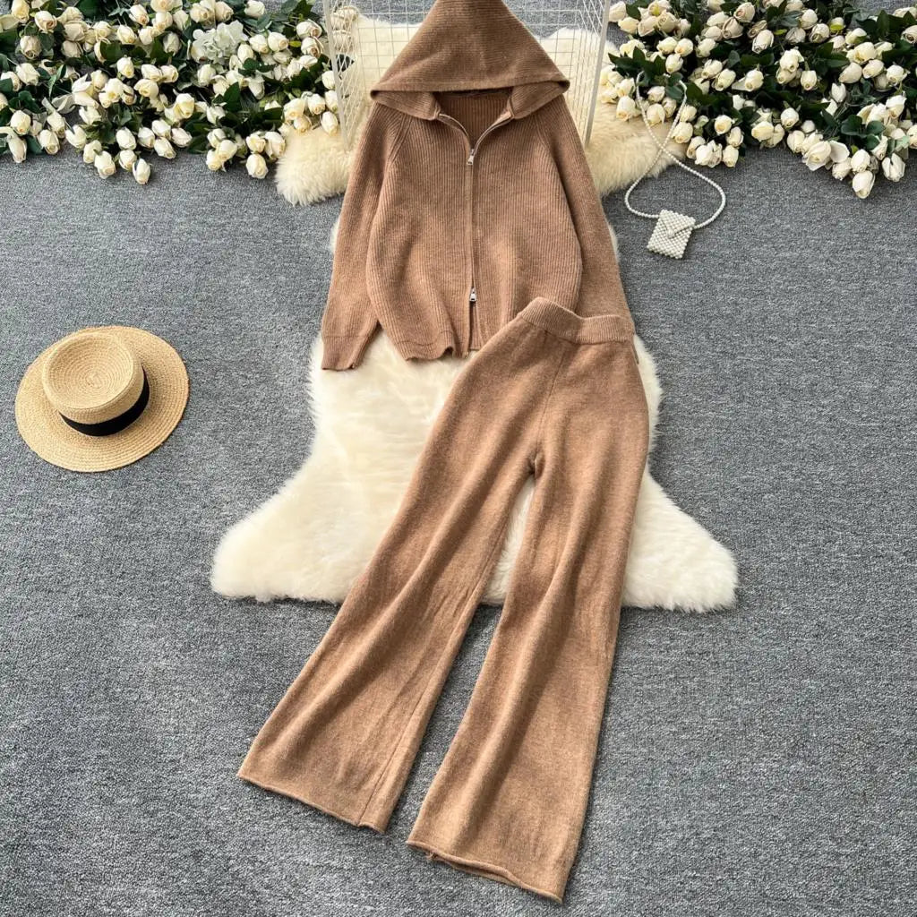 Amay Women 2 Piece Knitted Sweater Pantsuits Winter Fashion Korean Blouses Tops and Casual Pants Set Elegant Female Hoodies Outfits