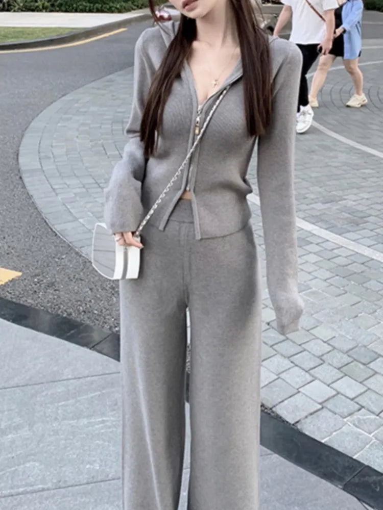 Amay Women's Knitted Tracksuits Casual Hooded Jacket & High Waist Long Pants 2 Piece Set Femme Fashion Clothing Outfit