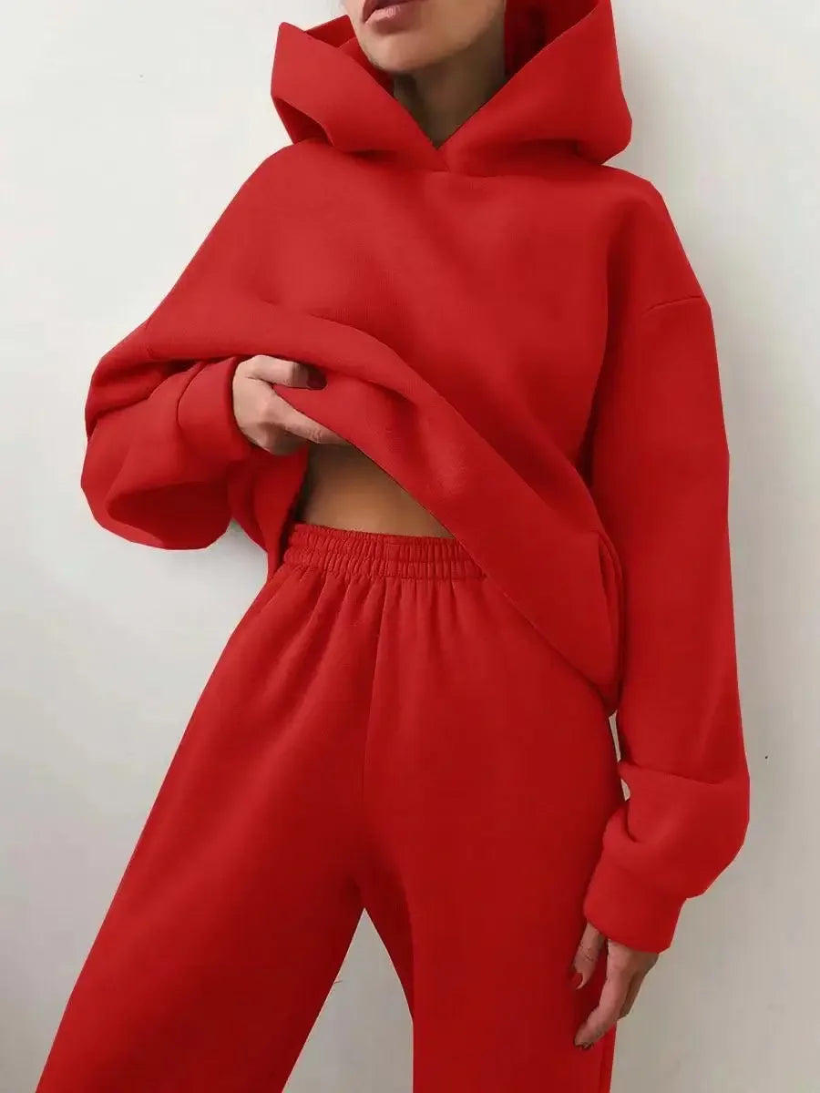 Winter Two Piece Sets Women Tracksuit Oversized Suit 2024 Autumn Trouser Suits Female Sweatshirt Solid Sports Hoodie Sportswear