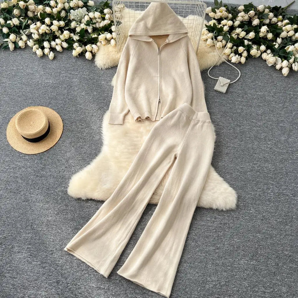 Amay Women 2 Piece Knitted Sweater Pantsuits Winter Fashion Korean Blouses Tops and Casual Pants Set Elegant Female Hoodies Outfits