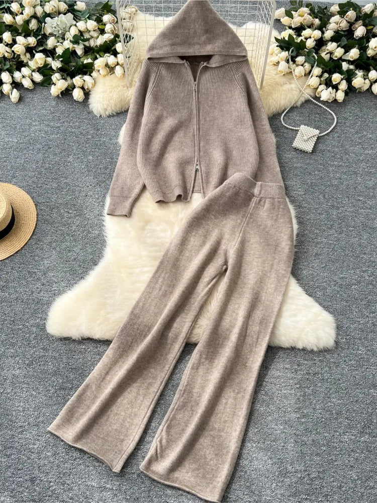 Amay Women 2 Piece Knitted Sweater Pantsuits Winter Fashion Korean Blouses Tops and Casual Pants Set Elegant Female Hoodies Outfits