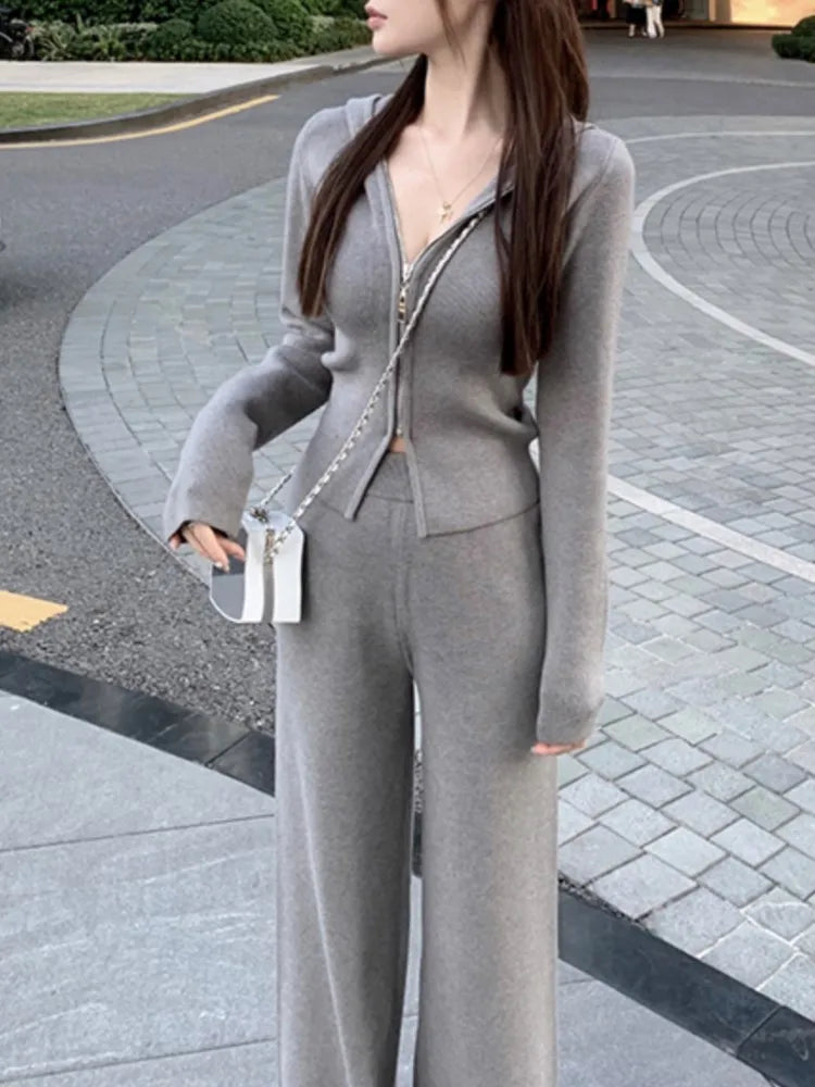 Amay Women's Knitted Tracksuits Casual Hooded Jacket & High Waist Long Pants 2 Piece Set Femme Fashion Clothing Outfit