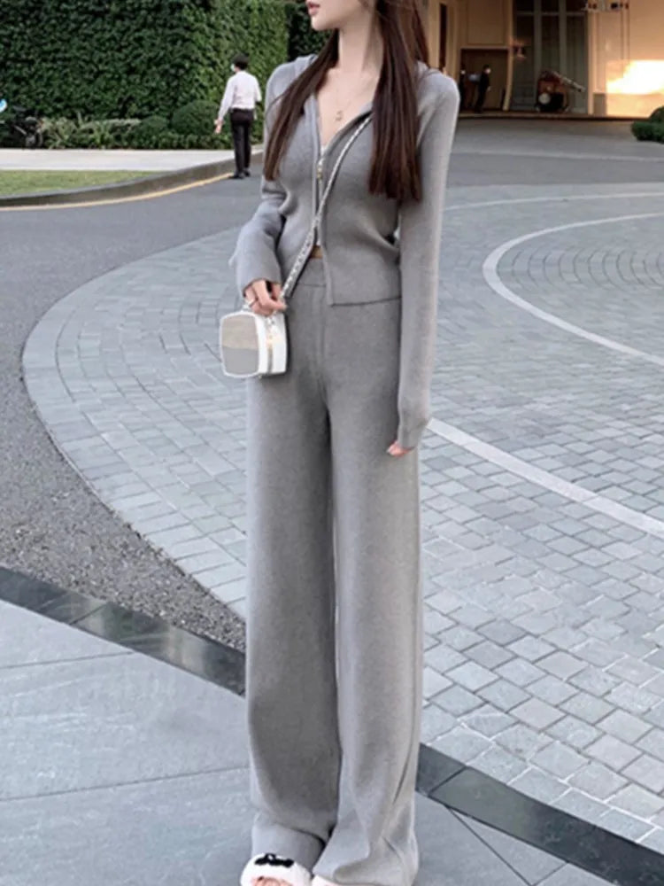Amay Women's Knitted Tracksuits Casual Hooded Jacket & High Waist Long Pants 2 Piece Set Femme Fashion Clothing Outfit