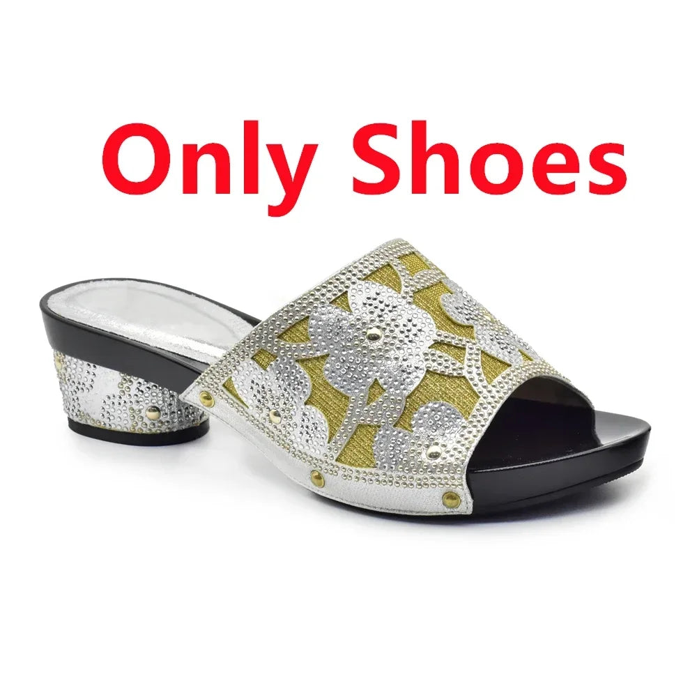 Maxy Silver African Matching Shoes and Bags Italian In Women Italian Shoes and Bags To Match Shoes with Bag Set Decorated with Stone