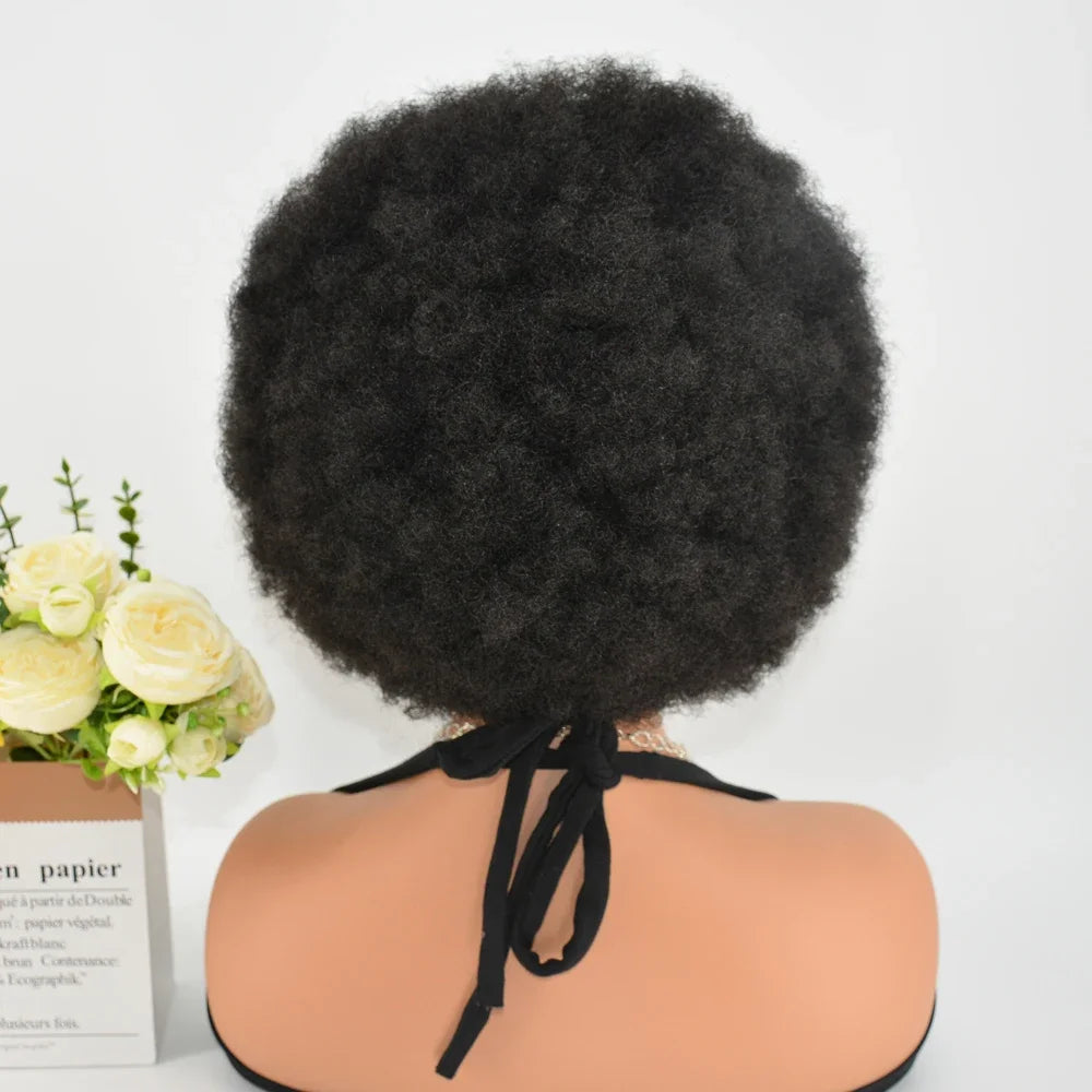 Maxy 250% Density 13x6 Lace Frontal Braided Wig Afro Kinky Curly Synthetic Wig Baby Hair Fluffy Curled Striped Braided Curly wig