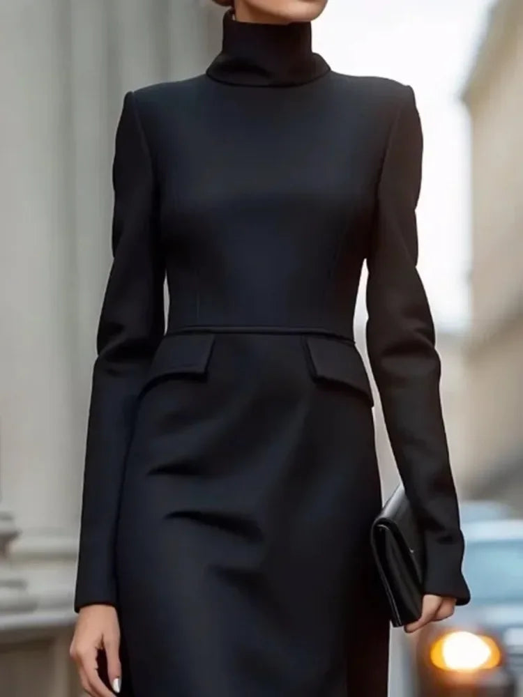 Maxy Ferency Women's Urban Dresses Solid Black Long Sleeves Slim Fit Maxy Dress High Neck Pleated Commuter Dress for Office Ladies